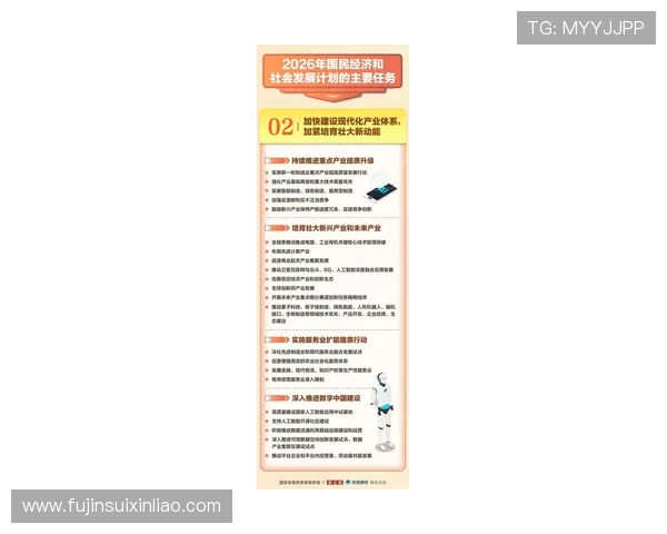 新普京的主要政治目标和未来发展战略解读，满足用户对其动向的关注