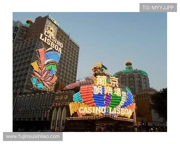 澳门葡京入口安全登录指南，详细介绍如何识别正规入口，保障您的账户安全与资金安全