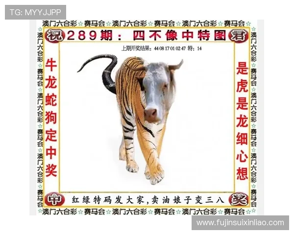 2026年新澳门官网地址官方最新公布,帮助玩家快速找到安全登录入口