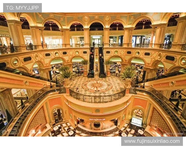 了解澳门最大的赌城所在的区，帮助游客规划行程和选择最佳的住宿地点