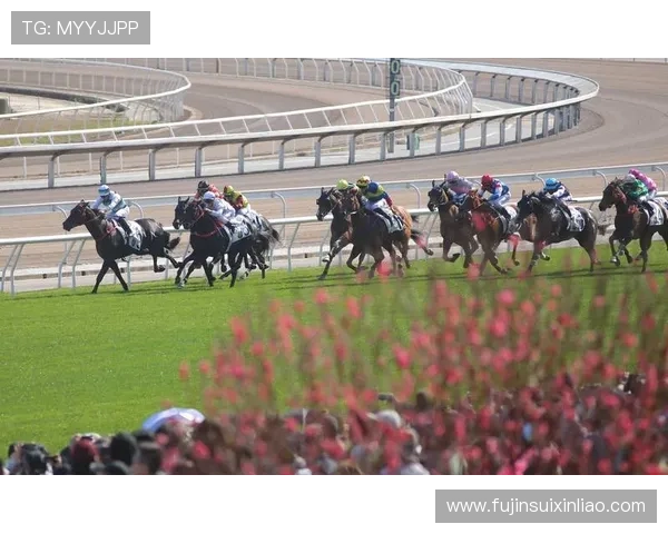 hkjc网娱乐：掌握香港赛马会在线娱乐的投注技巧提升您的中奖几率