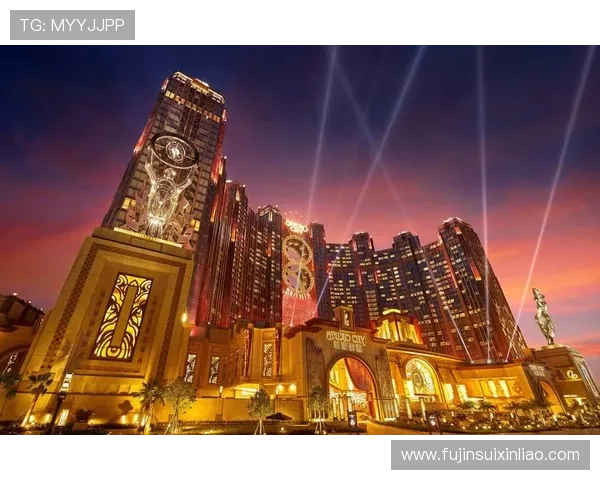 新濠博亚(澳门)股份有限公司：评估公司在澳门博彩市场中的竞争优势与持续增长潜力